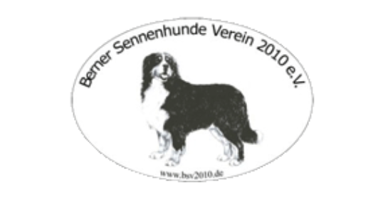 LOGO BSV2021