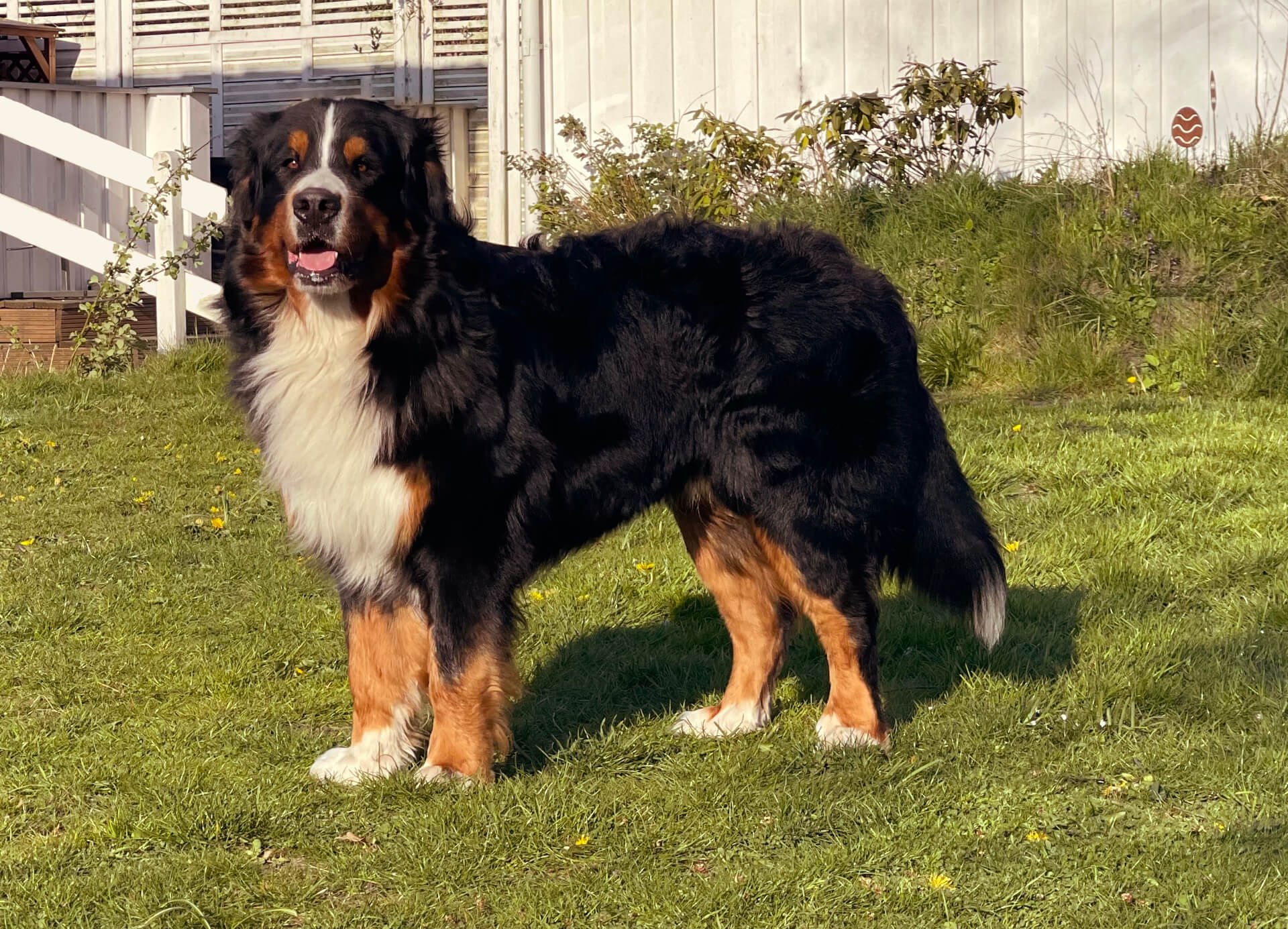 Clooney Seiten Profil